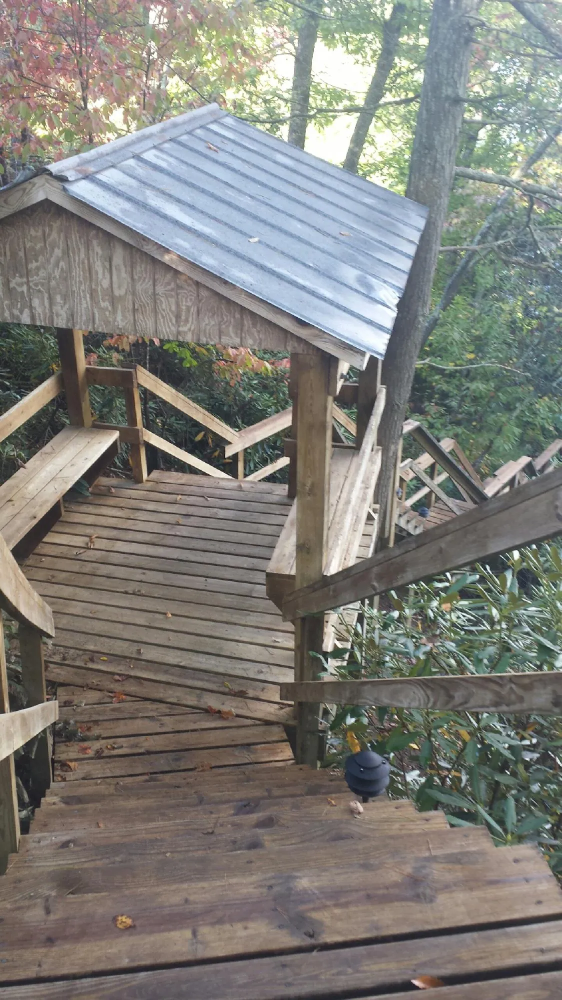 Metal roofed shelter over wooden steps on a wooded walkway — Skylight Repair & Installation work by our crew in Lane City